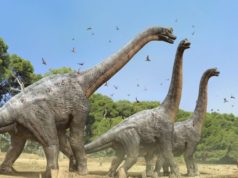 Dinossauros