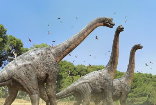 Dinossauros